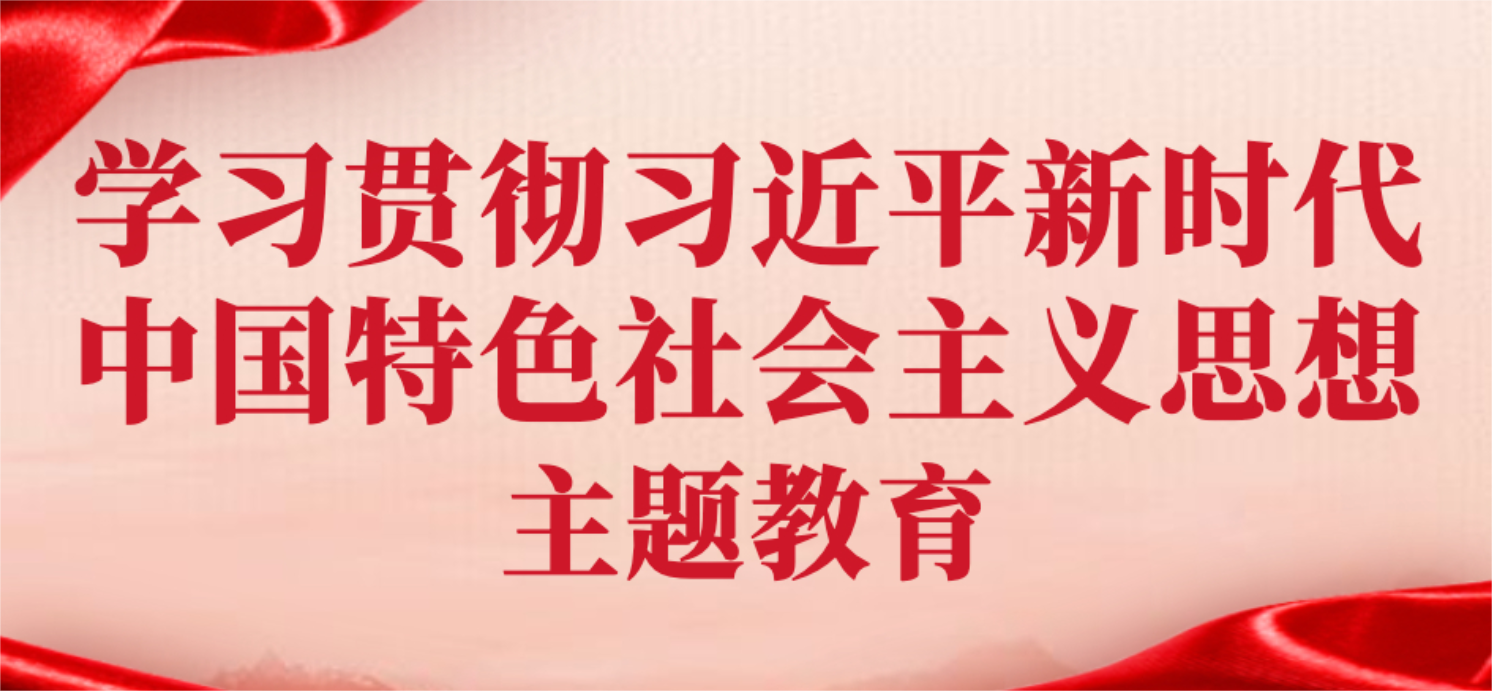 學習貫徹習近平新時代中國特色社會主義思想主題教育