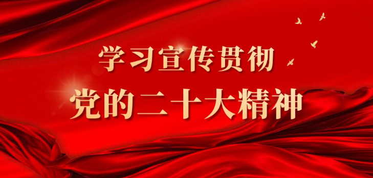 學習宣傳貫徹黨的二十大精神